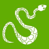 属蛇女最配的属相是什么(揭秘最佳配对星座是哪个)