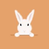 兔年今年的运势怎么样呢(2023年兔年运势大揭秘)