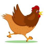 1981年属鸡发财方向(如何把握财富机会)