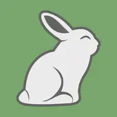 2025生肖兔运势深度解析：全年运程走势预测