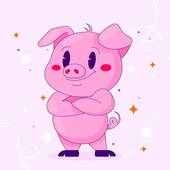 属猪2023运势及运程(猪年大展宏图财运亨通)