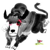 属牛的2023每月运势(2023年牛年每月运势详解)