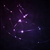 蒂姆TIM2023年星座运势 It，s to early，tim