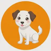 1982年狗什么命五行缺什么：1982年属狗五行缺啥