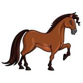 2023属马的全年运势(马上飞黄腾达)