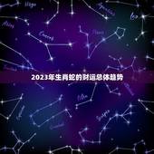 生肖蛇2023年财运(财运亨通财源滚滚来)