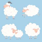 1991年属羊女旺夫吗(如何找到适合自己的另一半)