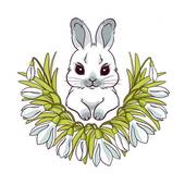 属兔的人今年都是多大了(2023年属兔人的年龄解析)