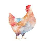 属鸡一生运势运程如何看(解析属鸡人的命运轨迹)