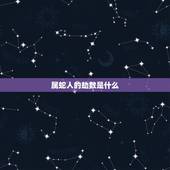 属蛇人2023年劫数(如何化解)