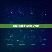 2023属猪财运在哪个方位(探秘猪年财运宝)