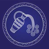 水瓶座和什么座最配夫妻呢(探寻星座之间的默契配对)