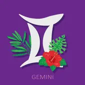 双子座今日财运解析：实时解锁财富机遇的3个步骤