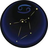 巨蟹座和什么座最配对指数(完美匹配的星座组合)