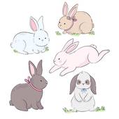 属相属兔的今年多大了啊(兔年生肖年龄计算方法详解)