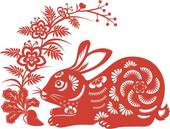 兔子的婚配最好是属什么(如何选择最佳配偶)