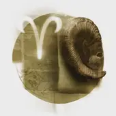 白羊男对老婆好吗：三点细节告诉你真实表现