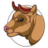 1985属牛的最佳配偶(如何选择)