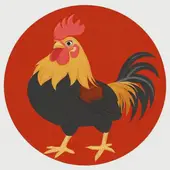 93年属鸡的婚配合什么属相好，1993年属鸡婚姻配对