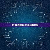 1992的猴2023年运势如何(十二生肖2023年运势分析)