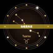 为什么蛇和马不能结婚(介绍蛇马不合的原因)