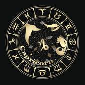 摩羯座女今天感情运势好吗(解析爱情运势看星座)