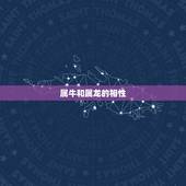 属牛的找属龙的怎么样(如何找到属于你的龙缘)