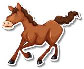 70岁属马是哪年出生的(马年长者的生肖密码)