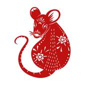 属鼠的今年多大了什么命(2023年属鼠人的运势如何)