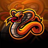 属蛇最忌讳什么属相的人(揭秘蛇年人的忌讳之人)