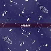 属兔的命运和财运怎样(介绍兔子人的命运和财运走势)