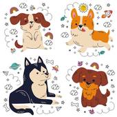 1982属狗人一生财运(如何开启财富之门)