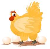 属鸡人二婚(何时再婚)