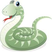 属蛇女跟什么属相最相配(寻找最佳配对)