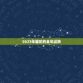 2023年属蛇的全年运势(详解属蛇人的2023年运势预测)