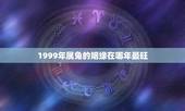 1999年属兔的姻缘在哪年最旺(十二生肖姻缘年份大介绍)