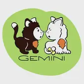 双子座女生吸引哪类男人：三大特质揭秘