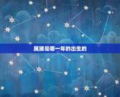 属猪是哪一年的出生的(猪年生肖介绍)