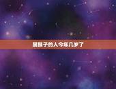 属猴子的人今年几岁了(猴年运势如何)