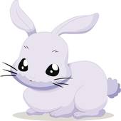 兔年本命年的大忌卜易居(如何避免厄运)