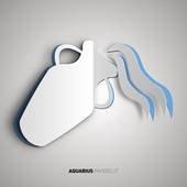 水瓶女和什么星座最配朋友(探寻最佳组合)