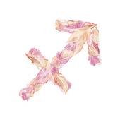 射手男会为了小三离婚吗(真相揭秘他们的选择取决于这个)