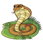 属蛇巨蟹座男生的性格特点(细腻情感丰富的星座男子)