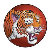 虎年运势2023年运势(独具慧眼迎接财富与机遇)