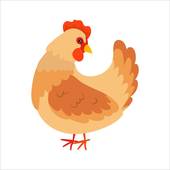 1969年属鸡今年运势(事业顺遂财运亨通)