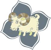 属羊的佩戴什么最旺运气(解密幸运饰品大揭秘)