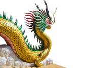 男龙和女猪适合做夫妻吗(探讨星座配对真的靠谱吗)