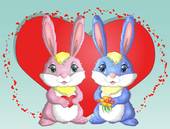 75属兔今年的运势如何(2023年兔子运势大揭秘)