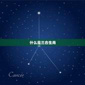 三合和六个合生肖表格(生肖配对大介绍)