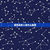 属羊的贵人是什么属相(属羊人士的吉祥生肖)